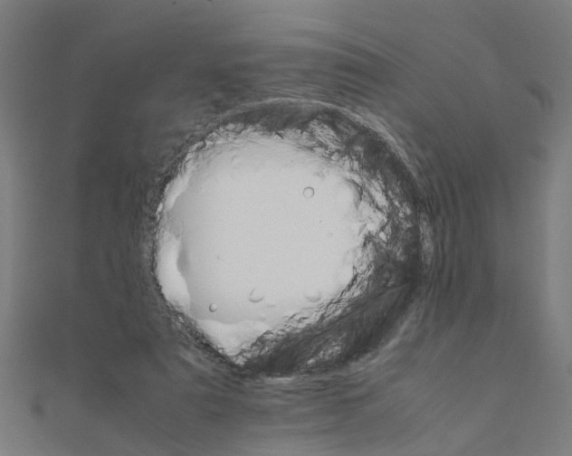 X0000111230307200907301251