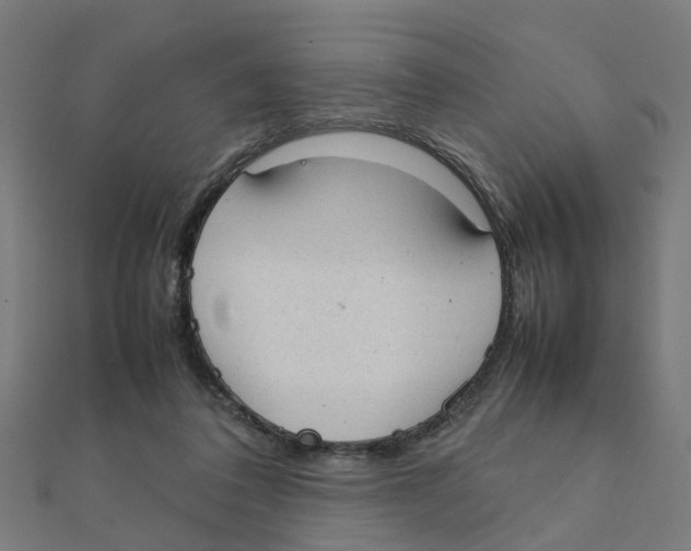 X0000111230308200907301251