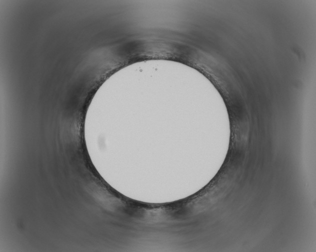 X0000111230309200907301251