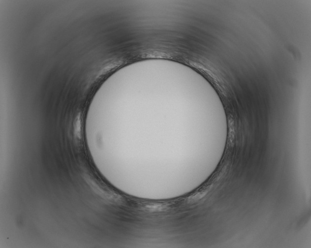 X0000111230310200907301251