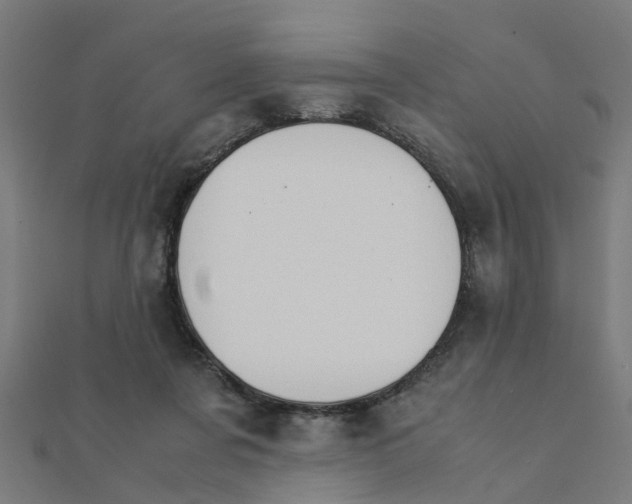 X0000111230311200907301251