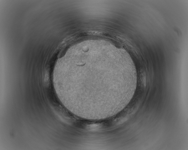 X0000111230312200907301251