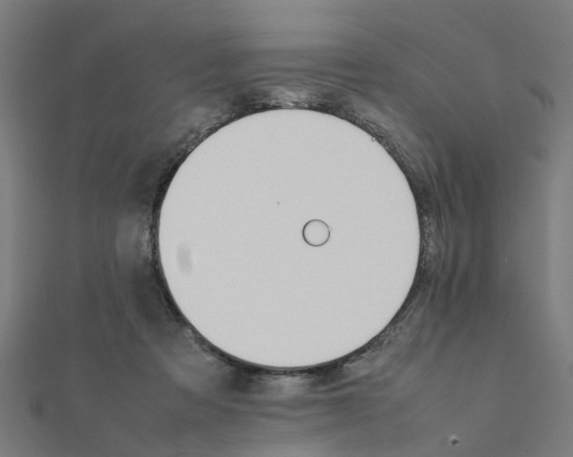 X0000111230313200907301251