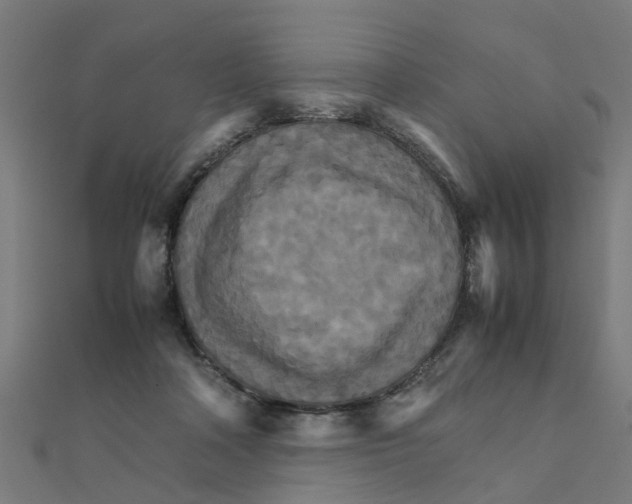 X0000111230314200907301251