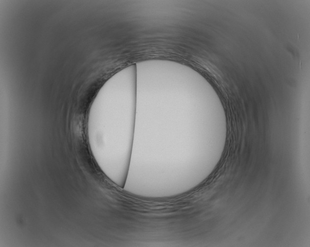 X0000111230315200907301251