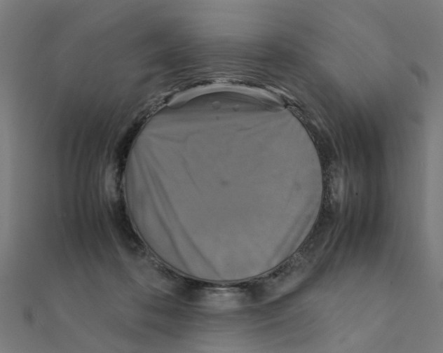 X0000111230316200907301251