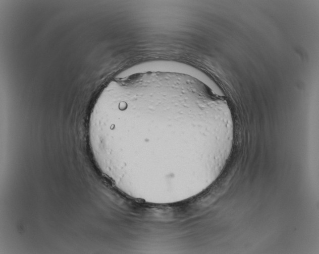 X0000111230317200907301251