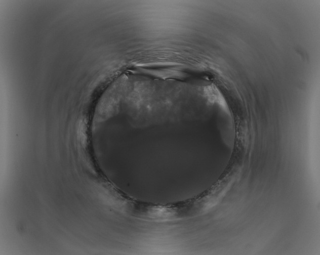 X0000111230319200907301251