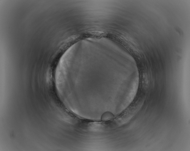 X0000111230320200907301251