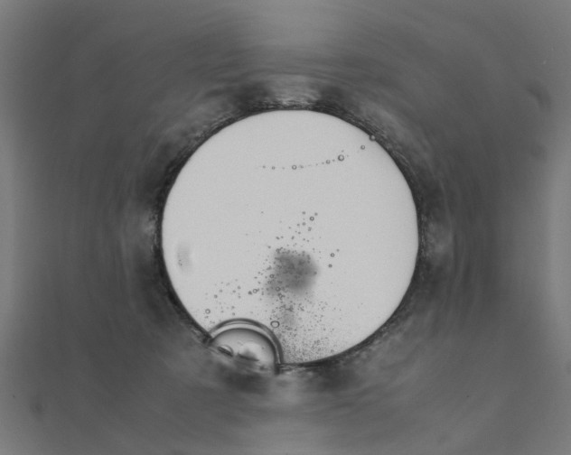 X0000111230321200907301251