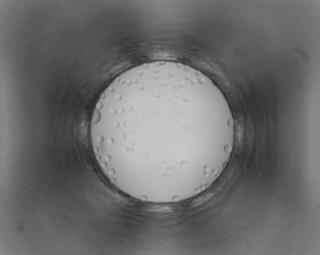 X0000111230322200907301251