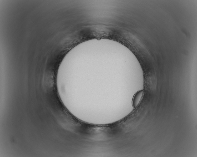 X0000111230323200907301251