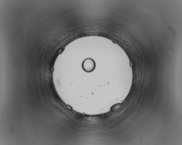 X0000111230324200907301251