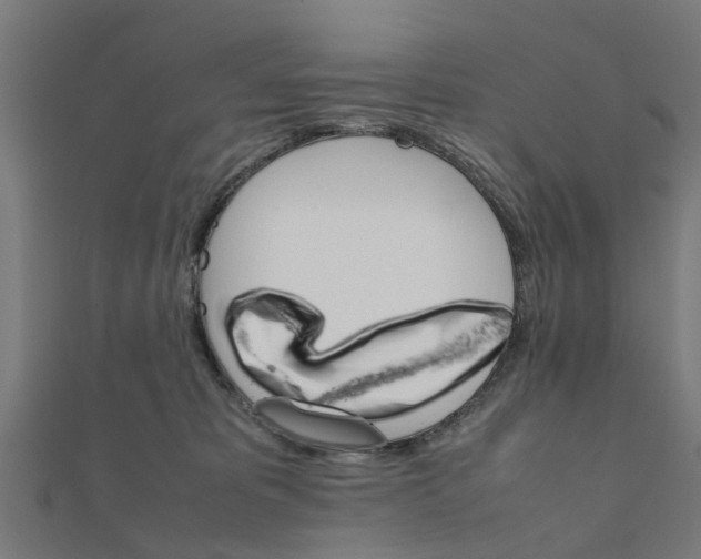 X0000111230325200907301251