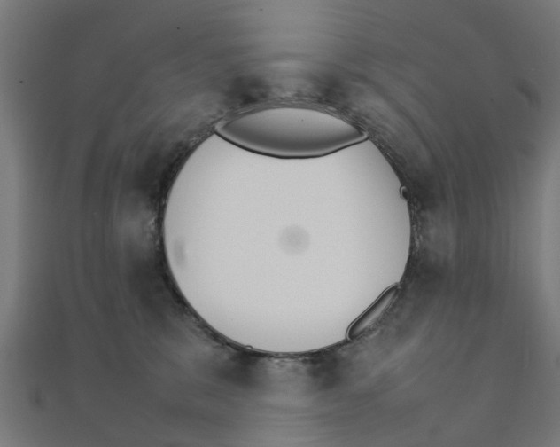 X0000111230327200907301251
