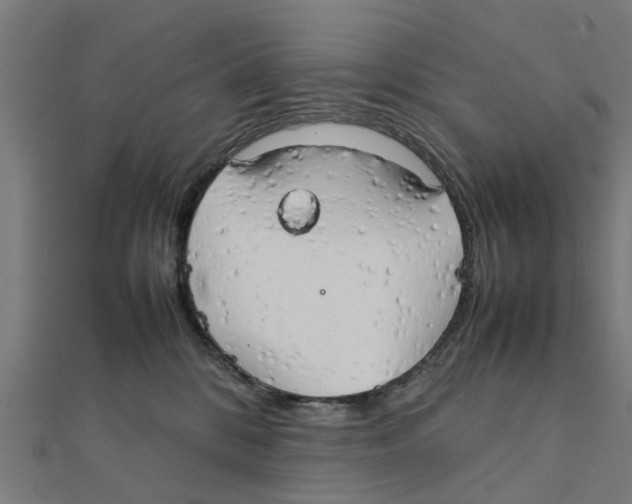 X0000111230328200907301251