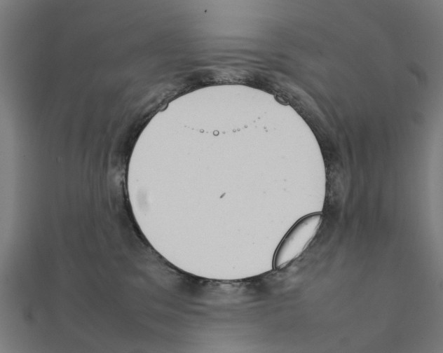 X0000111230329200907301251