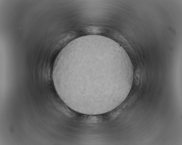 X0000111230330200907301251