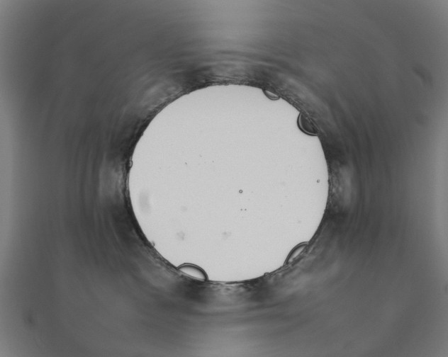 X0000111230333200907301251