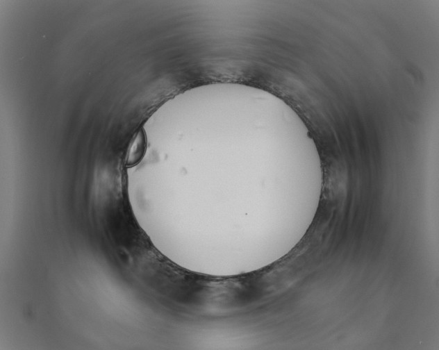X0000111230334200907301251