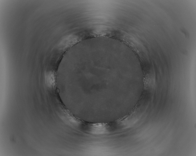 X0000111230335200907301251