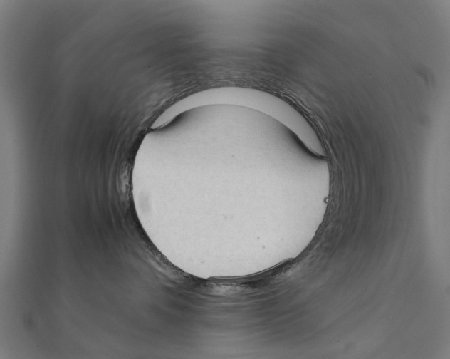 X0000111230336200907301251