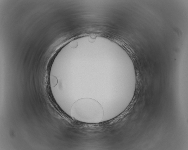X0000111230338200907301250