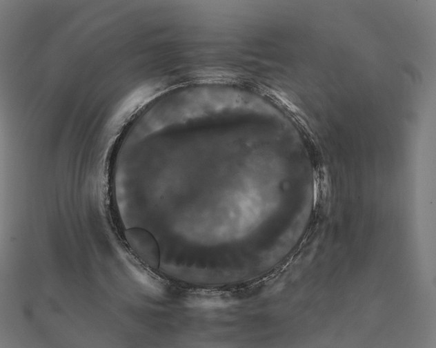 X0000111230339200907301250