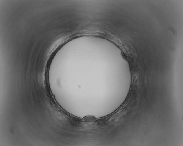 X0000111230340200907301250