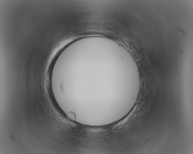 X0000111230342200907301250