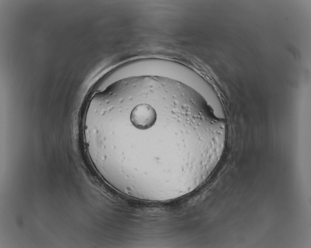 X0000111230344200907301250