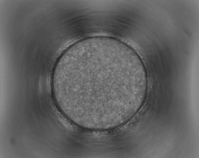 X0000111230345200907301250