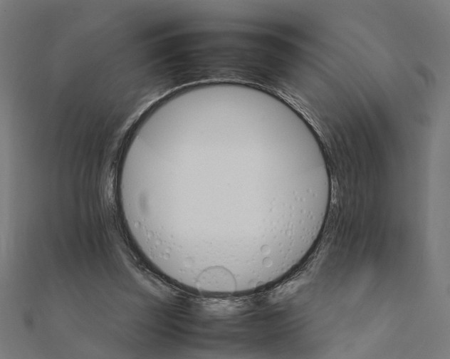 X0000111230347200907301250