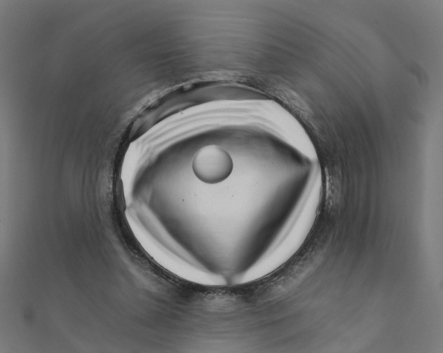 X0000111230348200907301250