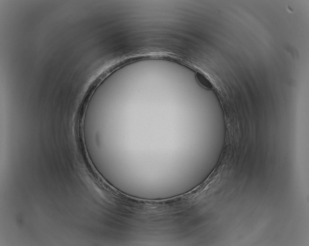 X0000111230350200907301250