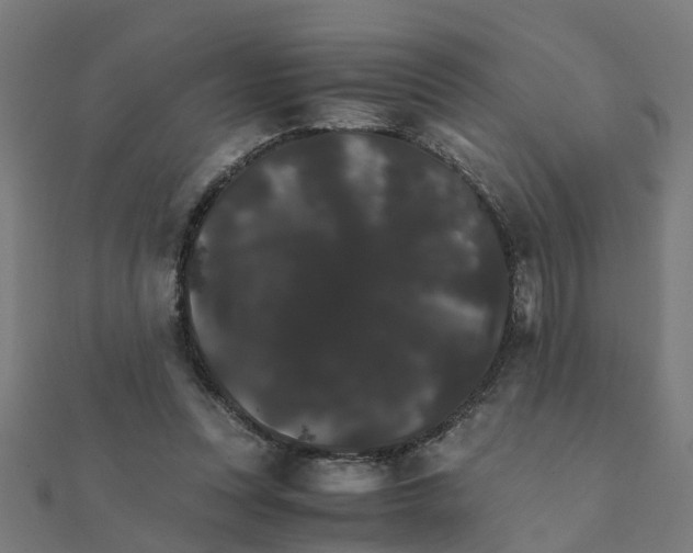 X0000111230351200907301250