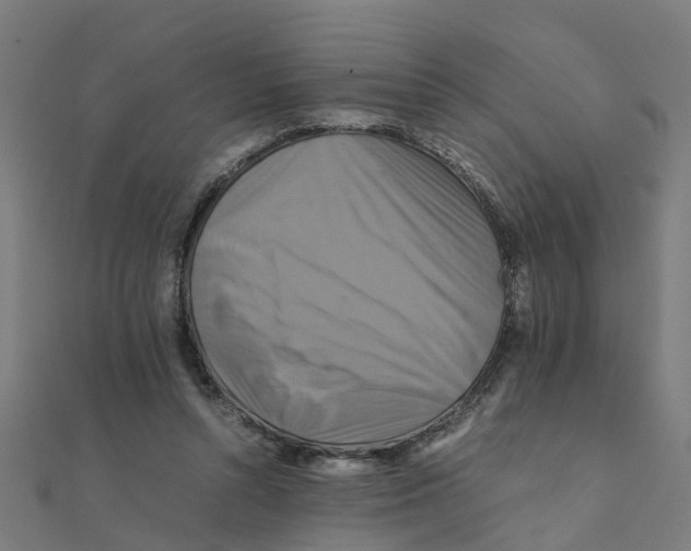X0000111230352200907301250