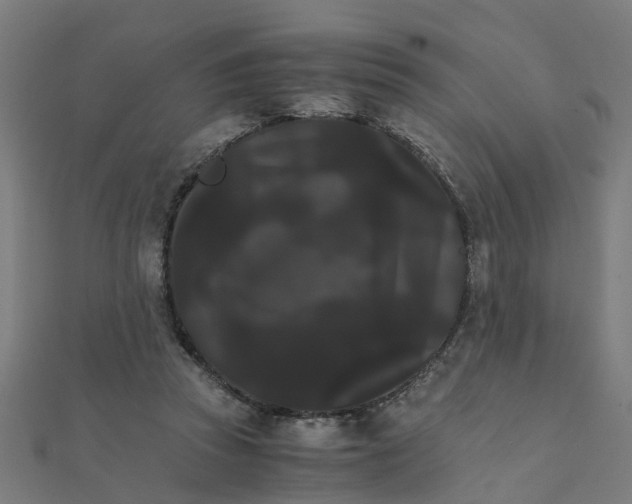 X0000111230353200907301250