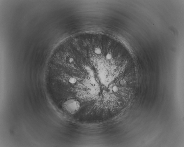 X0000111230354200907301250