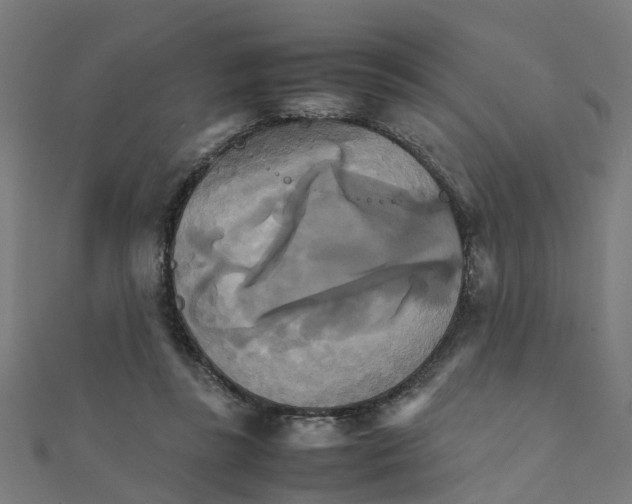 X0000111230355200907301250