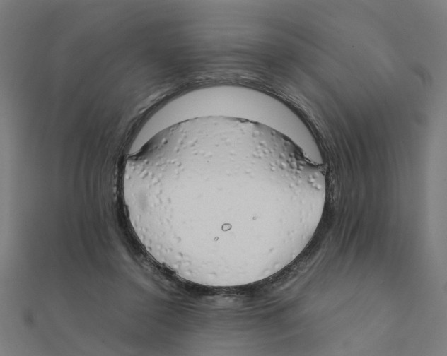 X0000111230356200907301250