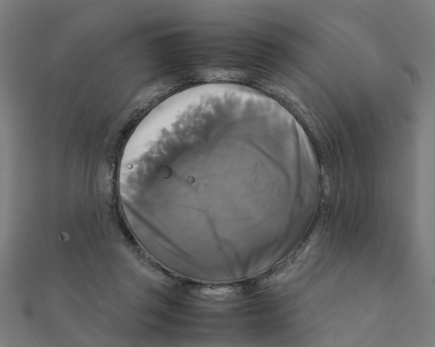 X0000111230357200907301250