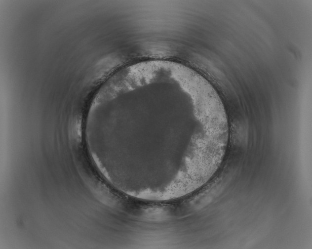 X0000111230358200907301250