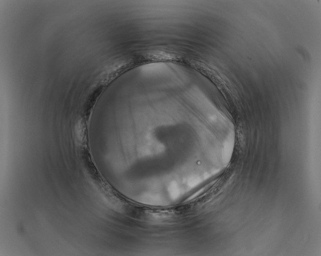 X0000111230359200907301250