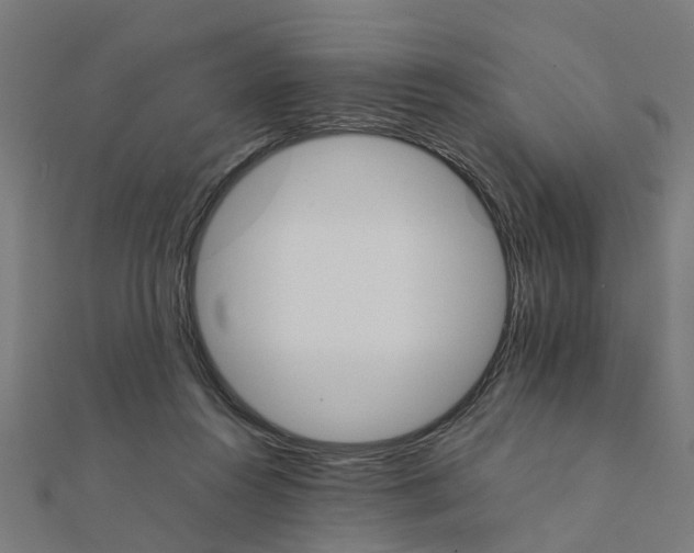 X0000111230360200907301250