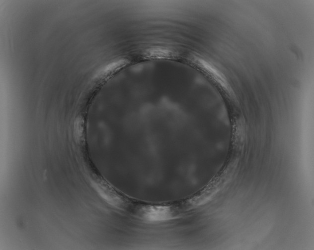 X0000111230361200907301251