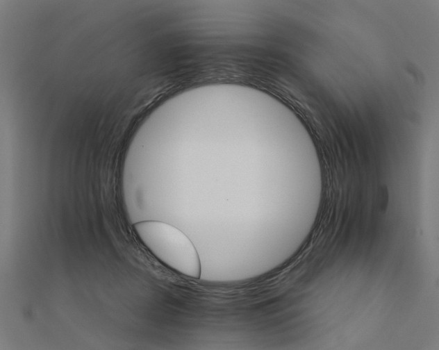 X0000111230362200907301251