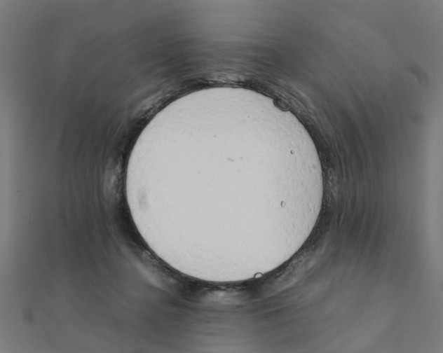 X0000111230364200907301251