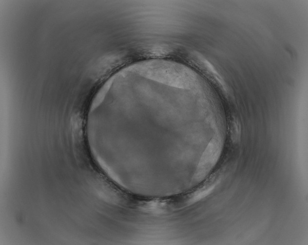 X0000111230366200907301251