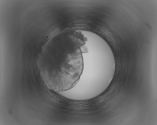 X0000111230367200907301251